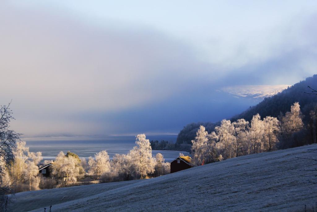 Sygard * Storrvik