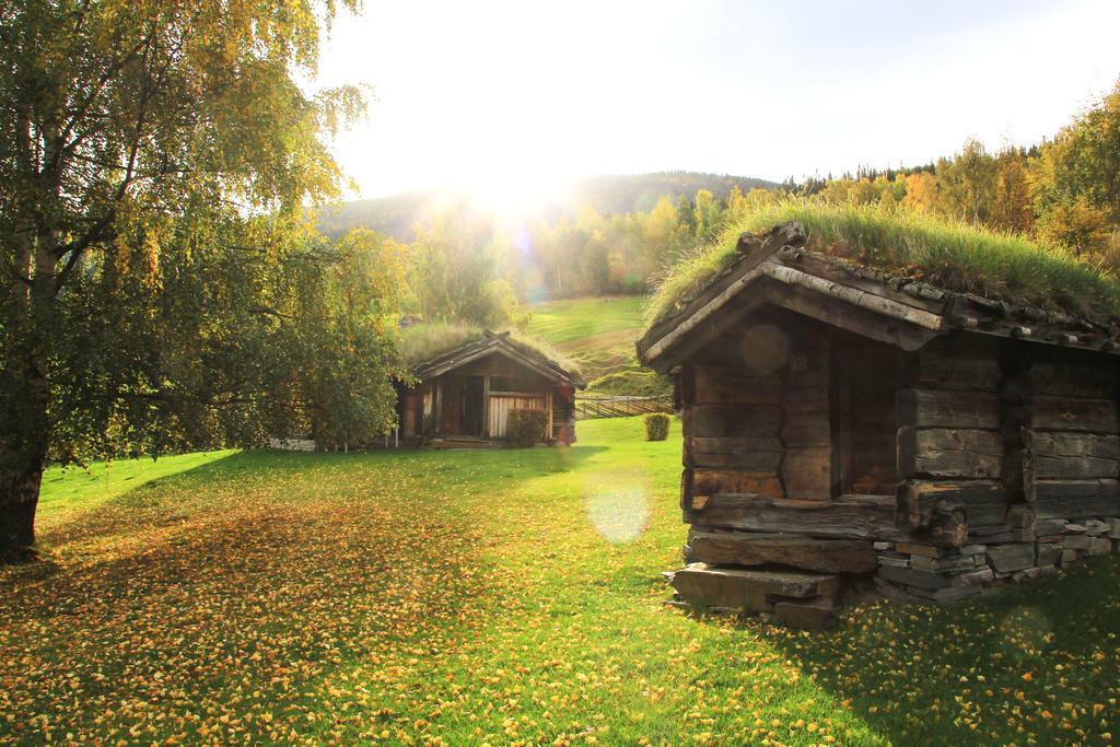 Séjour à la ferme Sygard