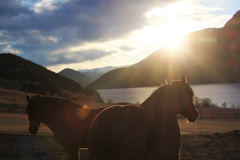 Sygard Séjour à la ferme