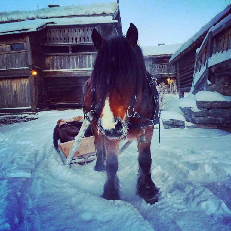 Séjour à la ferme Sygard Storrvik